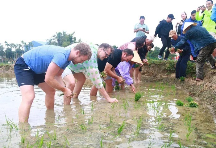 ong-tay-ba-dam-doi-mua-loi-bun-tat-nuoc-cuoi-trau-cay-ruong-cay-lua-o-hoi-an9-1704175797.jpg