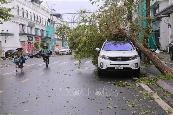 hai-phong-080924-3-1725762249.jpg