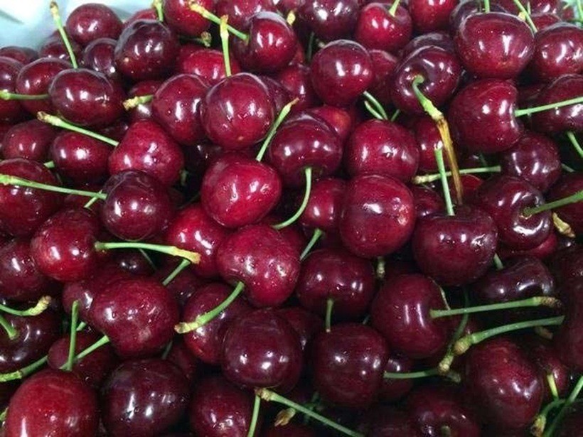 cherry1-1728873477.jpg